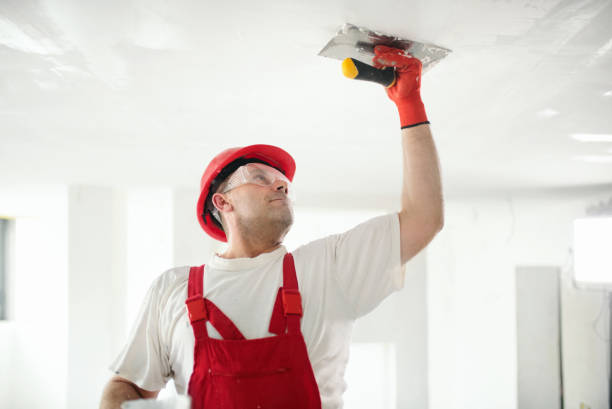 Best Drywall Removal and Disposal  in Lattingtown, NY